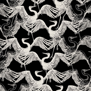 毛茸茸业余亚洲
