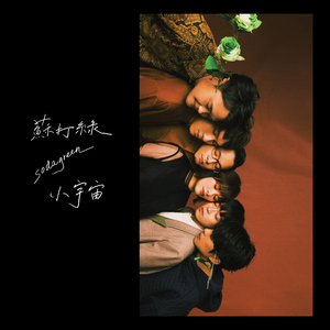 毛茸茸业余亚洲
